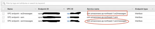 vpc endpoint for ssmmessages and ec2messages