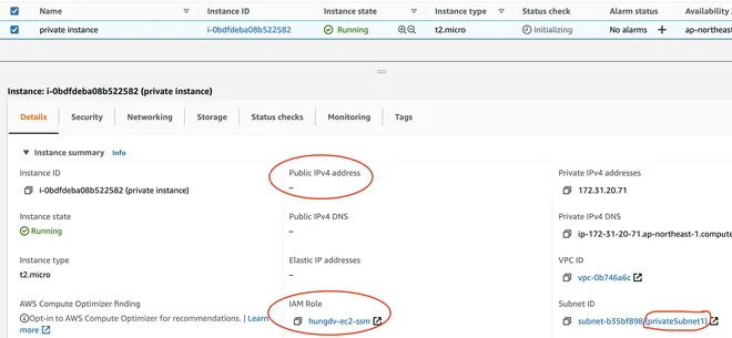 private instance with ssm