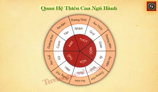 Quan hệ thiên can và ngũ hành