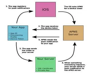 Cấu hình Appple Push Notification sử dụng APNS và SNS AWS